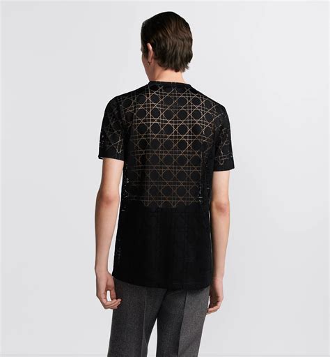 dior devore shirt